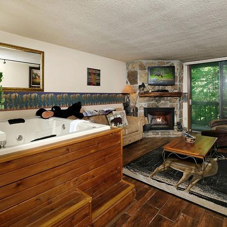 Bear Creek 167 Villa แกตลิงเบิร์ก ภายนอก รูปภาพ