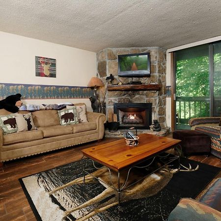 Bear Creek 167 Villa แกตลิงเบิร์ก ภายนอก รูปภาพ